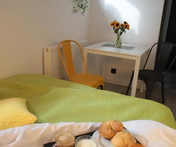 Brookwood Mini Studio Airport Lawica Apartment