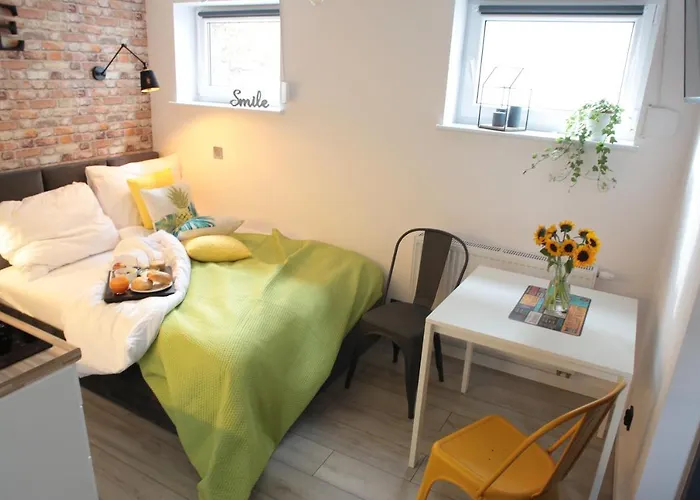 Brookwood Mini Studio Airport Lawica 포즈난